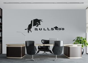 BULLS400-review4